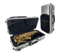 YoungMonic Funda de fibra de carbono para saxofón alto, ligera, impermeable, color plateado, a prueba de golpes, con cerradura de llave, asas dobles, correa de hombro acolchada gruesa y bolsillo