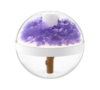 Youngwier Humidificador Portátil | Humidificador Portátil con Flores Naturales Conservadas - 270ml Capacidad Recargable USB Luz Nocturna Purificación e Hidratación con Diseño Floral para Hogar