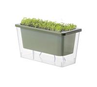 Youngwier Maceta con de autorriego | Contenedor Rectangular Estrecho para Crecimiento de Raíces | Maceta con Riego | para Patio, Hogar, Alféizar de Ventana, Frutas y Verduras, Apartamento, Jardín