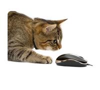 younikat Alfombrilla de ratón Gato | 24 x 19 cm | Alfombrilla tamaño estándar, Antideslizante | para Chicas Adolescentes Mujeres | Gato ratón | dv397
