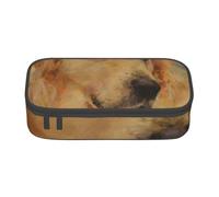 YounPrenG Estuche para lápices, Estuche para lápices Impreso de Gran Capacidad, Estuche para lápices, Estuche para lápices para Oficina y Escuela.Golden Retriever Impreso
