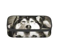 YounPrenG Estuche para lápices, Estuche para lápices Impreso de Gran Capacidad, Estuche para lápices, Estuche para lápices para Oficina y Escuela.Husky Siberiano