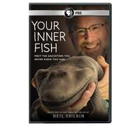 Your Inner Fish: Meet the Ancestors You Never Knew You Had [USA] [DVD]