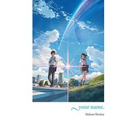 Your Name. Light Novel