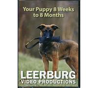 Your Puppy 8 Weeks to 8 Months DVD
