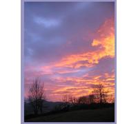 Your Wealth & Power Journal: Track Your Income, Goals & Abundance Daily