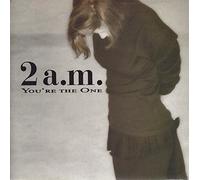 YOU'RE THE ONE 7 INCH (7" VINYL 45) UK RCA 1987