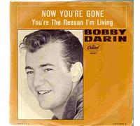 you're the reason i'm living 45 rpm single