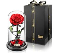YourRoses® Rosa auténtica premium en cristal con una hermosa caja de regalo | Larga durabilidad y elegante regalo como prueba de amor | Un regalo del corazón