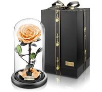 YourRoses® - Rosa de cristal con una bonita caja de regalo, larga duración y regalo elegante como prueba de amor, un regalo del corazón