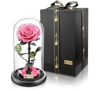 YourRoses® - Rosa en vaso de cristal con una hermosa caja de regalo, larga durabilidad y elegante regalo como prueba de amor, un regalo del corazón (rosa)