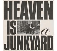 Youth Lagoon - Heaven Is A Junkyard (idaho Exclusive) [Vinilo]