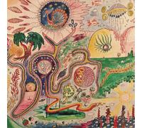 YOUTH LAGOON - Wondrous Bughouse [Vinilo]