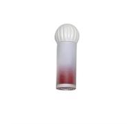 Youthful Charm Lipstick and Lip Gloss - Conveniently Portable Shades for School, Commuting, Dates, Travel, and Shopping(20thorn rose is not good)