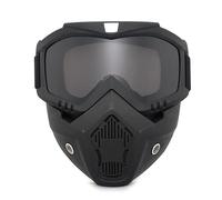 YouXiaor Motocicleta Gafas Máscara Gafas de Moto Gafas Desmontables Prueba de Niebla Calientes Filtro de boca Correa Antideslizante Ajustable Fog-Proof Prueba de Viento Equitación Gafas (gris)
