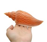 YOUYIMEI Conchas Marinas Naturales Grandes, Conchas Marinas Naturales Grandes, caracola Marina Gigante de 15 a 16 cm, Perfecta for Bodas, Decoraciones del hogar, peceras