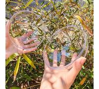 YOZIEMQ Bola hueca de acrílico, bola de adornos rellenable de plástico transparente, bolas de plástico transparente DIY para regalo de Año Nuevo, árbol de Navidad, decoración del hogar, boda, fiesta