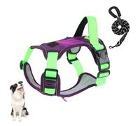 YPDOPORA Arnés Reflectante Ajustable Antitirones para Perros con Asa, 2 Cierres Gruesos, 4 Hebillas Deslizantes, Arnés Oxford Suave para Perros Pequeños, Medianos Y Grandes.,Púrpura,XL