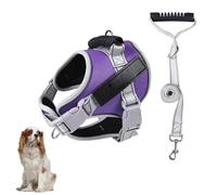 YPDOPORA Arnés Tipo Chaleco para Perros, Arneses De Entrenamiento Antitirones con Asa Y Correa De 1,5 M, Ajustable Y Reflectante para Mascotas Pequeñas, Medianas Y Grandes Que Caminan Y Corren,D,XL