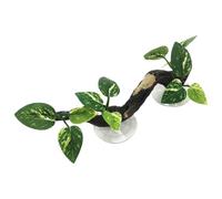 YPREWY Rama de esquina de reptiles, rama de escalada de resina para terrario, simulación de plantas, peceras, decoraciones acuáticas vibrantes para
