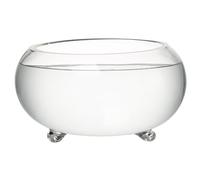 YQNISCU Macetero Bowl de Cristal Transparente de 11,8 Pulgadas con pies Antideslizantes for macetero hidropónico, pecera pequeña, suculentas, Cactus(30x16 Cm)