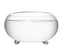 YQNISCU Macetero Bowl de Cristal Transparente de 11,8 Pulgadas con pies Antideslizantes for macetero hidropónico, pecera pequeña, suculentas, Cactus(25x13.8 Cm)