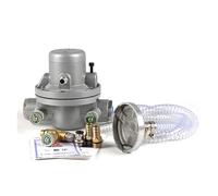 YQVEOT Bomba de Diafragma, Bomba de diafragma de una vía operada por Aire, Bomba de diafragma neumática de 15l/min for máquina de impresión de Tinta de Bombeo de Tinta para Caravanas Barcos Jardín