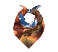 YQxwJL Arches National Park - Diadema con estampado estándar, pañuelo suave de bolsillo, multiusos, pañuelo de seda para hombres, mujeres y niños