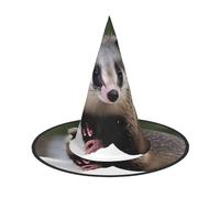 YQxwJL Opossum In Snow - Sombrero de bruja para Halloween, decoración para la cabeza, sombrero de bruja, accesorios de fiesta de cosplay para mujer, 2 unidades