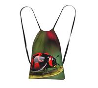 YQxwJL Red Ladybug Dasisy - Mochila plegable con cordón, gran capacidad, para gimnasio, para mujeres y hombres