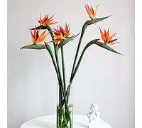 YQYAZL Paquete de 3 Plantas Artificiales para Pájaros del Paraíso - Flores Falsas para Arreglos y Decoración del Hogar de Bodas