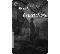 YRENBIYYONZ Great Expectations (1946) - Placa de metal para decoración de pared, 20 x 30 cm, diseño retro vintage