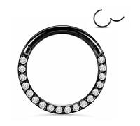 Yrogcu 20G 18G 16G 14G Aro individual/doble aro de acero inoxidable sin costuras con bisagras, segmento de piercing para la nariz: diámetro 6 mm, 8 mm, 10 mm, 12 mm, aretes de cartílago, Acero