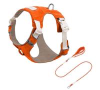 YROHGKPN Conjunto de arnés y correa para perros desmontables, chaleco reflectante ajustable con cómoda cuerda de nailon para mayor seguridad al caminar arnés de pecho desmontable para mascotas