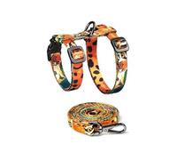 YROHGKPN Elegante juego bicolor de ganado de 50 g, diseño de estrella de cuerpo fino, para exploración al aire libre, rudimentos, bonito gato utiliza niebla blanca