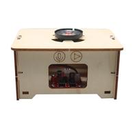 YROHGKPN Grabadora de madera, para niños, estudiantes, ciencia, educación, formación científica, equipo experimental, artesanía, juguetes de vapor, experimento de sonido de madera