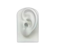 YROHGKPN Simulación de silicona suave 1: 1 modelo de oído humano de acupuntura de oído perno modelo de auriculares indicador de enseñanza apoyos orejas de silicona ejercicio piercing indicador, talla