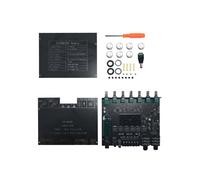 YS-AM100 KTV Placa Amplificadora de Alta Potencia MicróFono Sonido Todo en Placa Amplificadora TPA3116D2 de 2.1 Canales