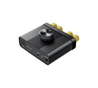 YS-D100 Amplificador de Audio Digital Bluetooth5.4 de 100W Sonido HiFi Receptor Sistema de Teatro en Casa 2.0 Enchufe UE