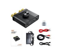YS-D100 Amplificador de Audio Digital Bluetooth5.4 de 100W Sonido HiFi Receptor TPA3116D2 Teatro en Casa para Automóvil Enchufe de EE. UU.