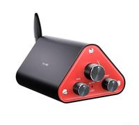 YS-HM3 5.4 - Amplificador digital estéreo de alta fidelidad con salida de doble canal de 50 W x 2, disco U y entrada AUX, protección contra sobretensión y sobrecalentamiento para sistemas de audio