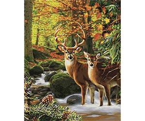 YSCOLOR Ciervo En El Bosque Diy Pintura Por Números Pintura De Animales Por Números Lienzo Cuadro Arte De Pared Para Decoración Del Hogar 40x50cm