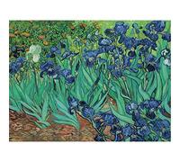 YSCOLOR Diamond Painting Bordado De Diamantes Redondo Completo Van Gogh Iris 5D Diamante Mosaico Punto De Cruz Decoración Para El Hogar 30x40 cm