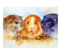 YSCOLOR Diamond Painting Diamante Mosaico Lindo Conejillo De Indias Diamante Pintura Punto De Cruz Animal Diamante Bordado Piedras Redondas Completas Pantalla Artesanías De Arte 30X40Cm
