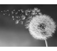 YSCOLOR Diamond Painting Pintura De Diamante Redondo Completo "Diente De León" Bordado 3D Punto De Cruz Diamantes De Imitación 5D Diy Mosaico Decoración Negro Blanco Arte Decoración 30X40cm