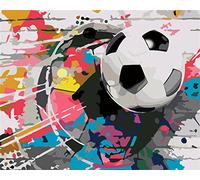 YSCOLOR Diy Pintura Al Óleo Niños Fútbol En La Red Pintura Por Números Kits Lienzo Diy Pintura Acrílica Para Adultos Y Niños Con Pinceles 40x50cm