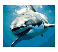 YSCOLOR Diy Pintura Por Números Pintura De Tiburón Por Números Para Adultos Y Diy Pigmento Acrílico Pintura Al Óleo Kits De Regalo Lienzo Preimpreso 40x50cm