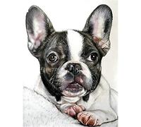 YSCOLOR Kits De Pintura De Diamantes 5D Para Kits De Bulldog Francés De Taladro Redondo Para Adultos Bordado De Diamantes De Imitación Decoración De Pared De Salón Diy Para El Hogar 30x40cm