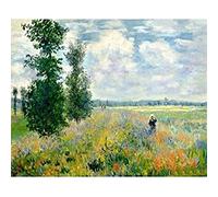 YSCOLOR Kits De Pintura Por Números Para Adultos, Niña De Campo De Flores Sobre Lienzo, Fácil De Pintar Para Principiantes Y Niños, Pintura Acrílica Diy Por Números 40x50cm