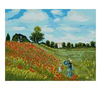 YSCOLOR Pintura Por Números Para Adultos Y Niños, Réplica De Monet, Pintura Al Óleo De Campo De Amapola Por Números Para Adultos Principiantes Con Pinceles 40x50cm